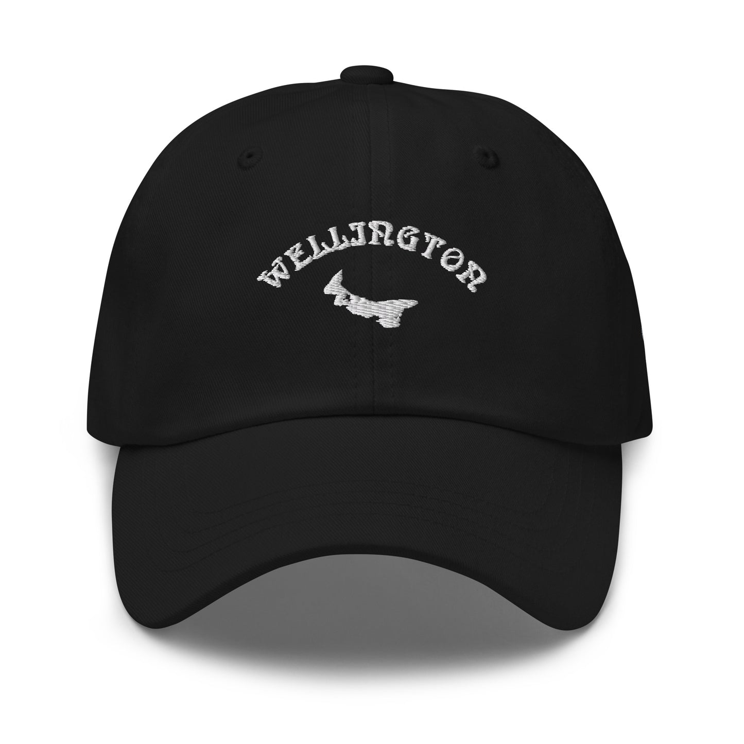 ATPEI COMMUNITY SERIES WELLINGTON Dad Hat (Embroidered)