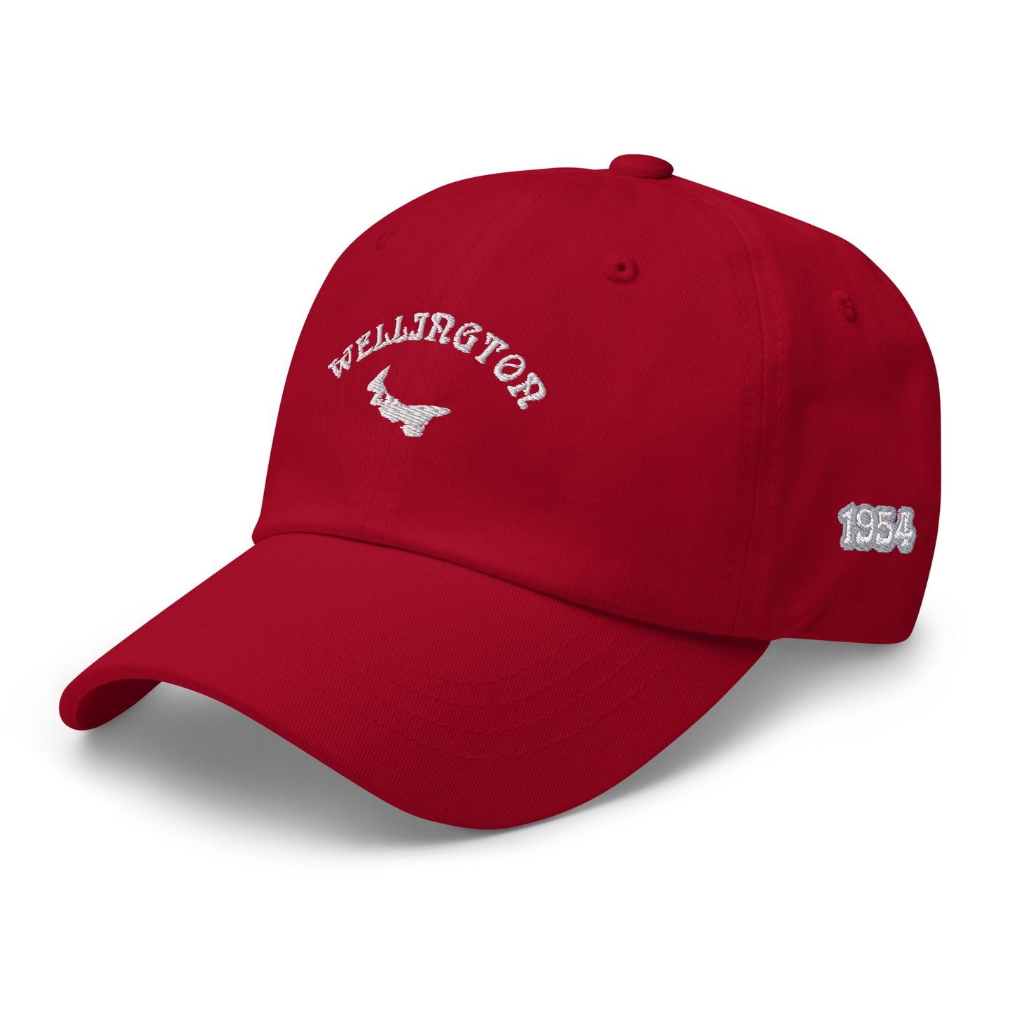 ATPEI COMMUNITY SERIES WELLINGTON Dad Hat (Embroidered)
