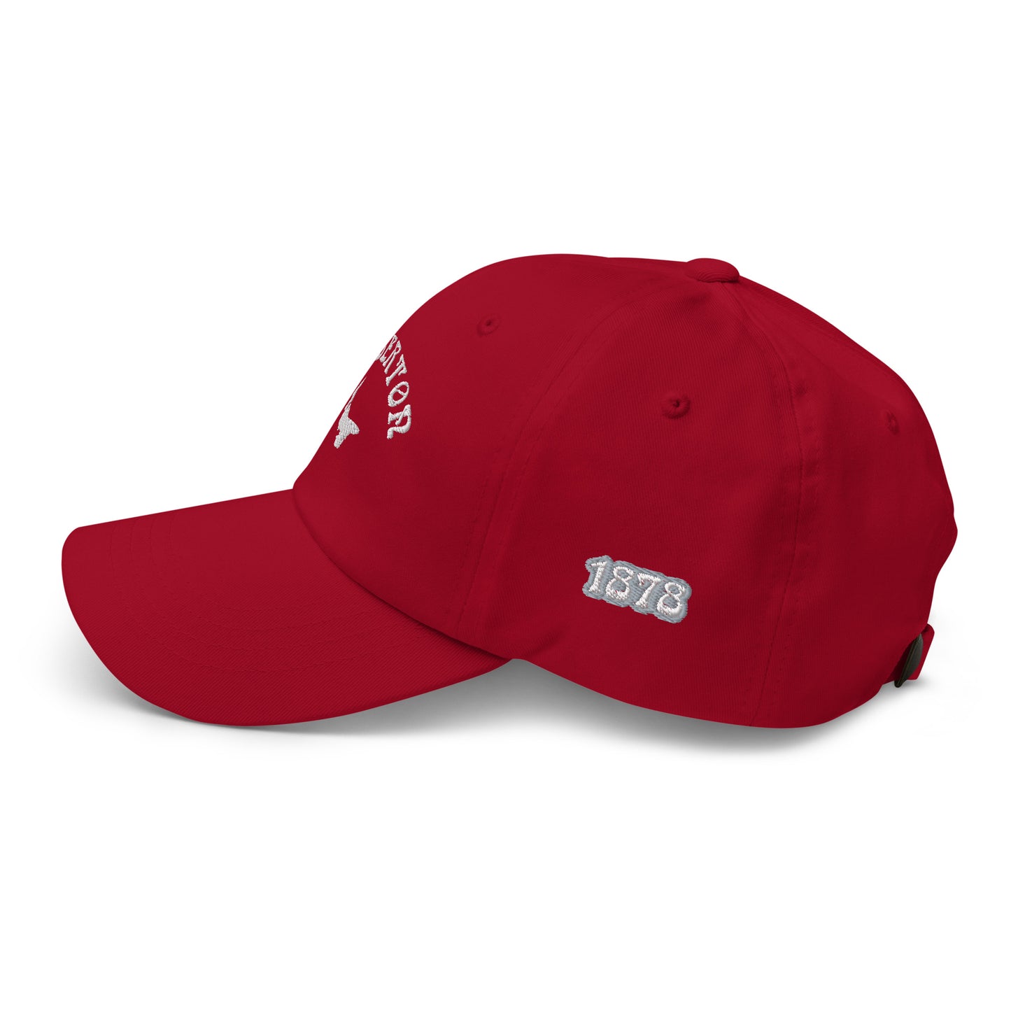 ATPEI COMMUNITY SERIES ALBERTON Dad Hat (Embroidered)