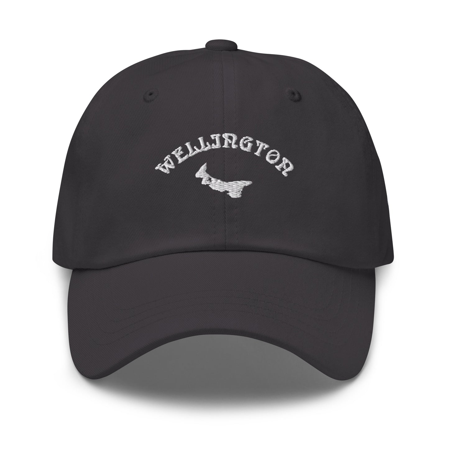 ATPEI COMMUNITY SERIES WELLINGTON Dad Hat (Embroidered)