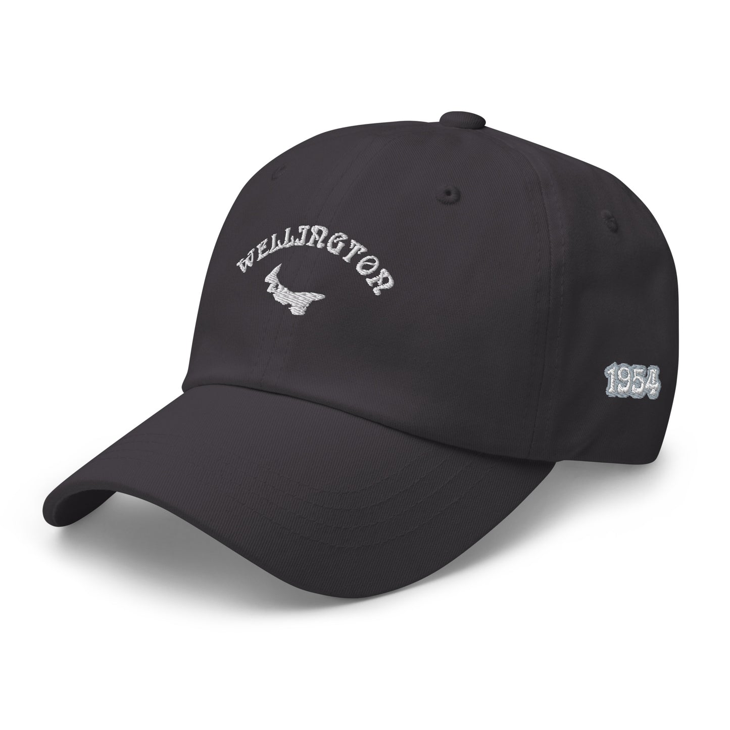 ATPEI COMMUNITY SERIES WELLINGTON Dad Hat (Embroidered)