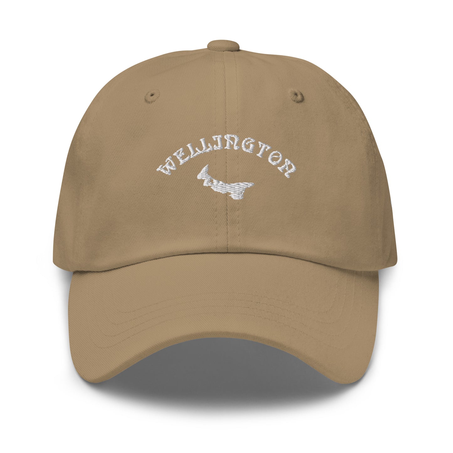 ATPEI COMMUNITY SERIES WELLINGTON Dad Hat (Embroidered)
