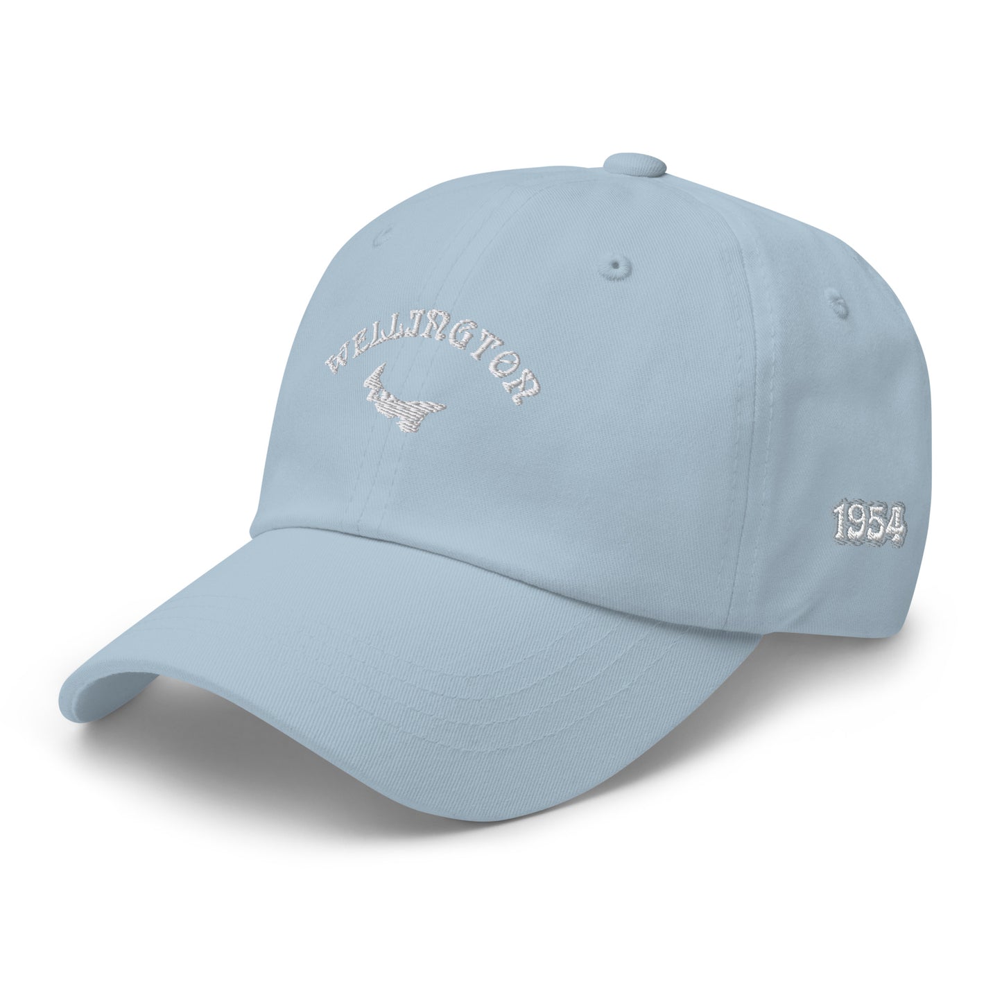 ATPEI COMMUNITY SERIES WELLINGTON Dad Hat (Embroidered)
