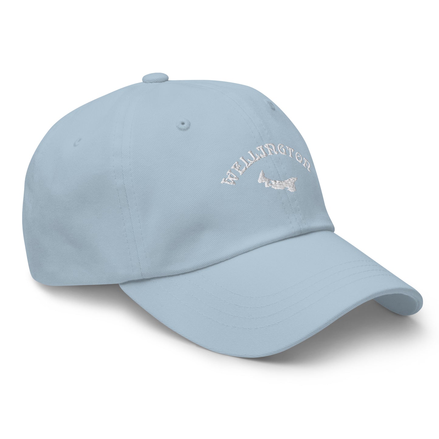 ATPEI COMMUNITY SERIES WELLINGTON Dad Hat (Embroidered)