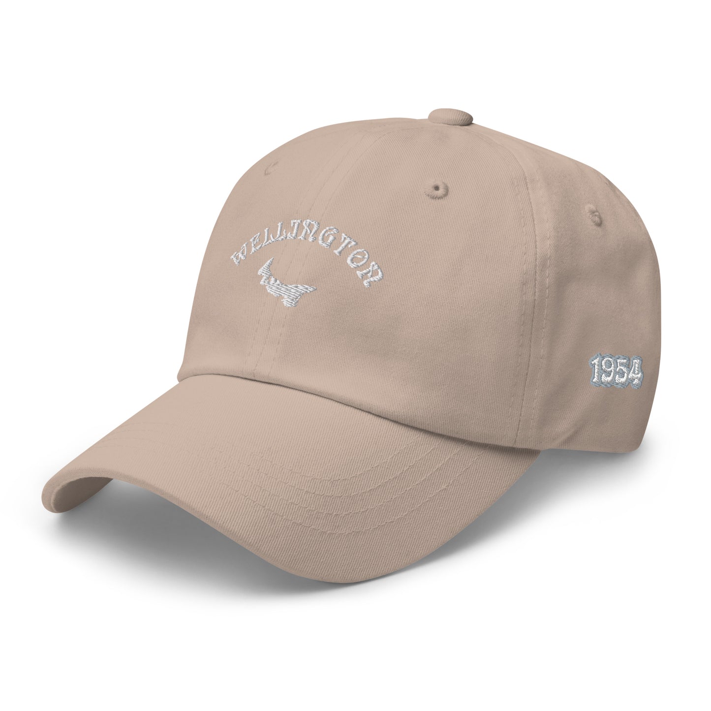 ATPEI COMMUNITY SERIES WELLINGTON Dad Hat (Embroidered)