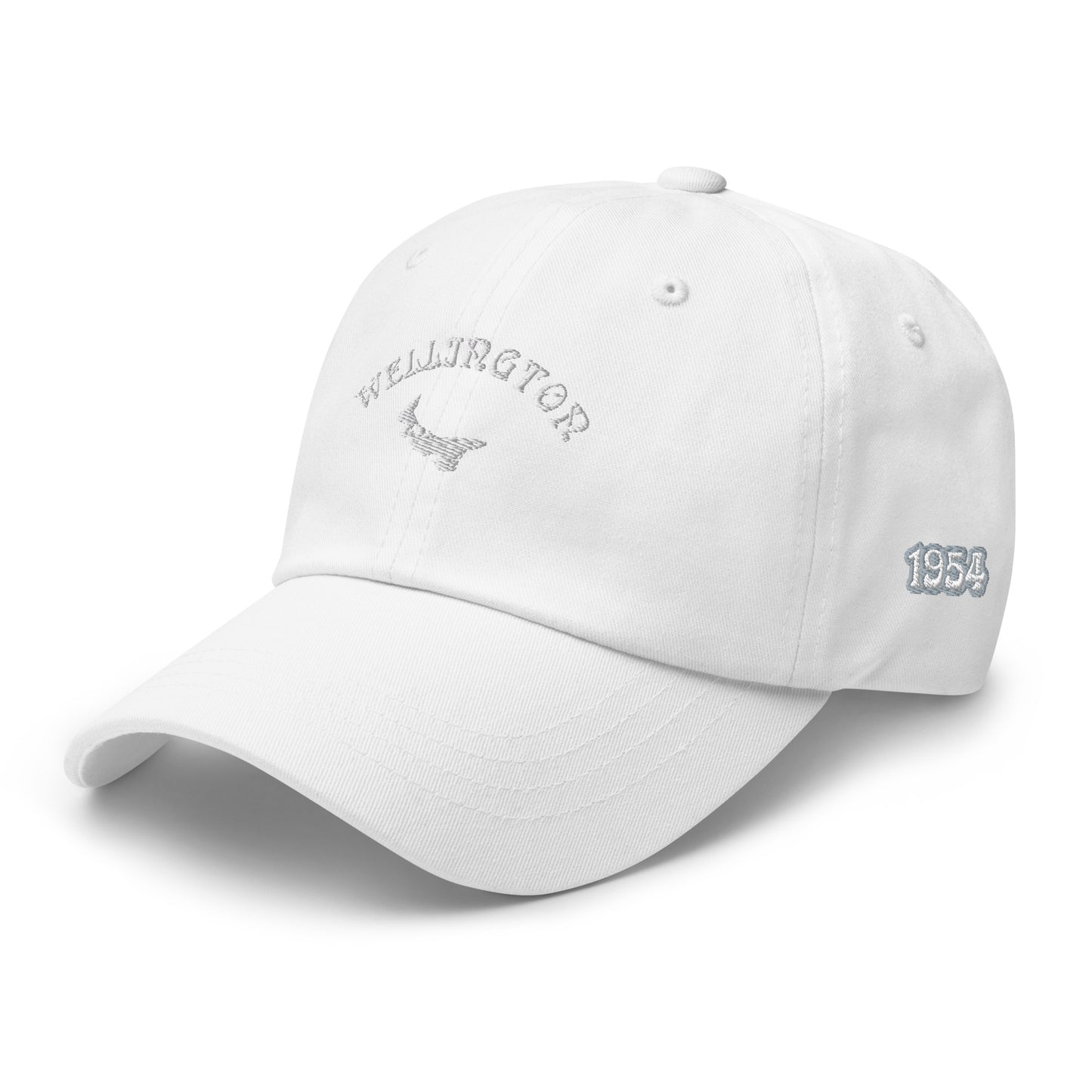 ATPEI COMMUNITY SERIES WELLINGTON Dad Hat (Embroidered)