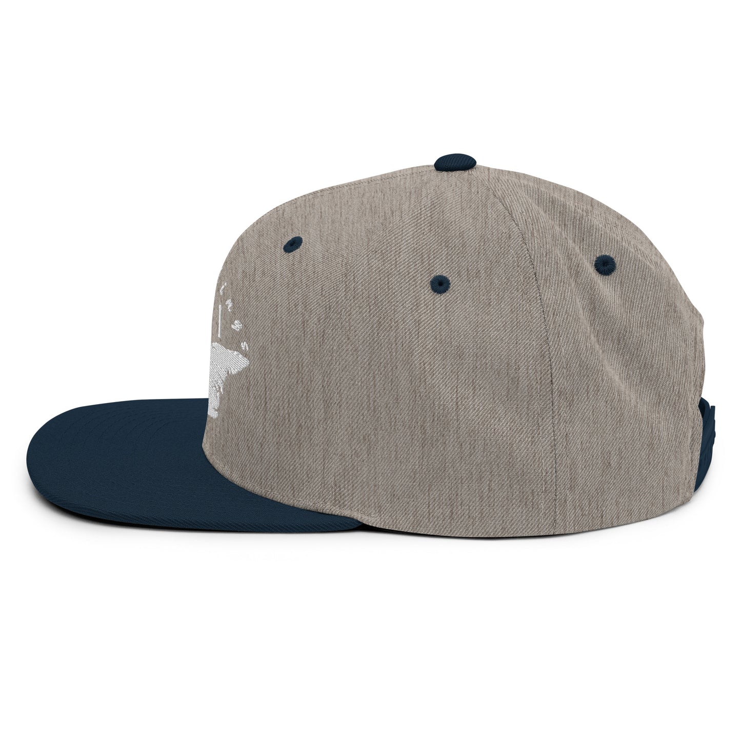 ATPEI Snapback Hat (Embroidered)