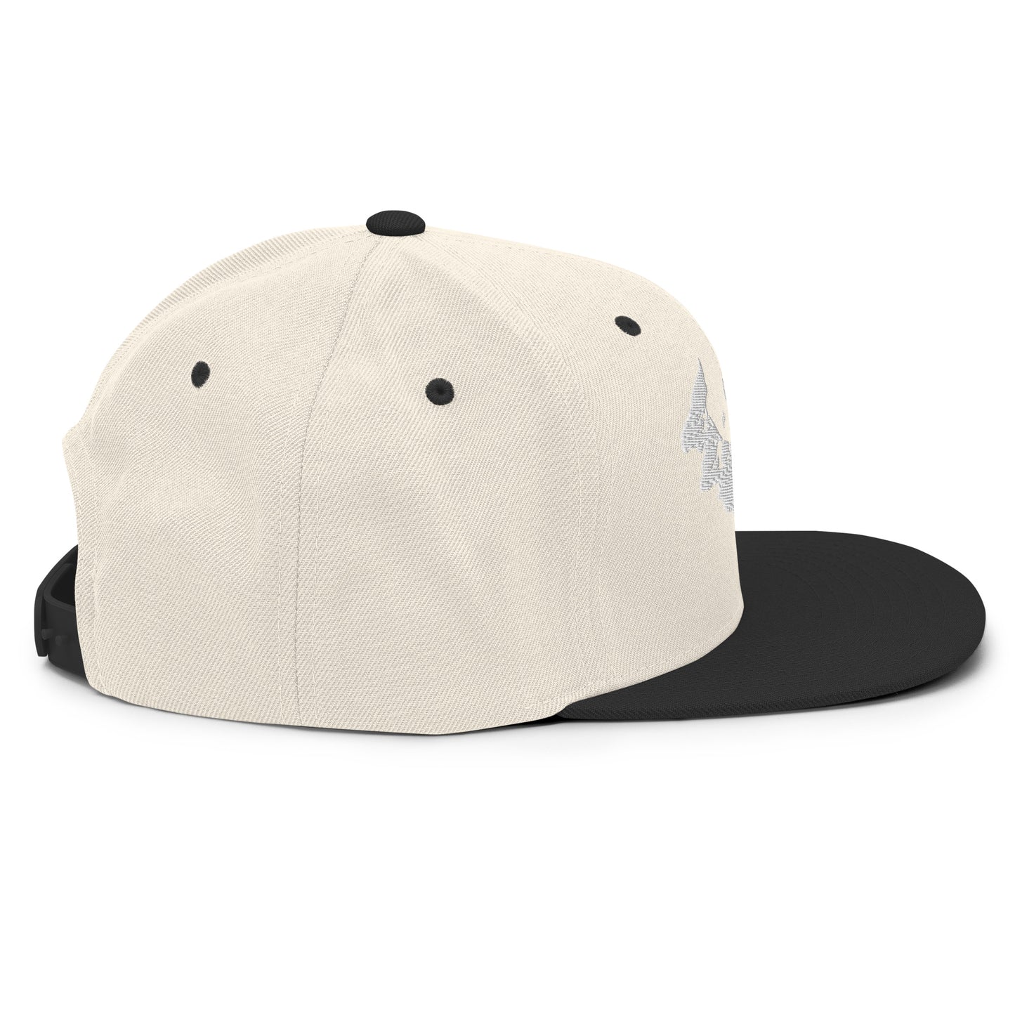 ATPEI Snapback Hat (Embroidered)