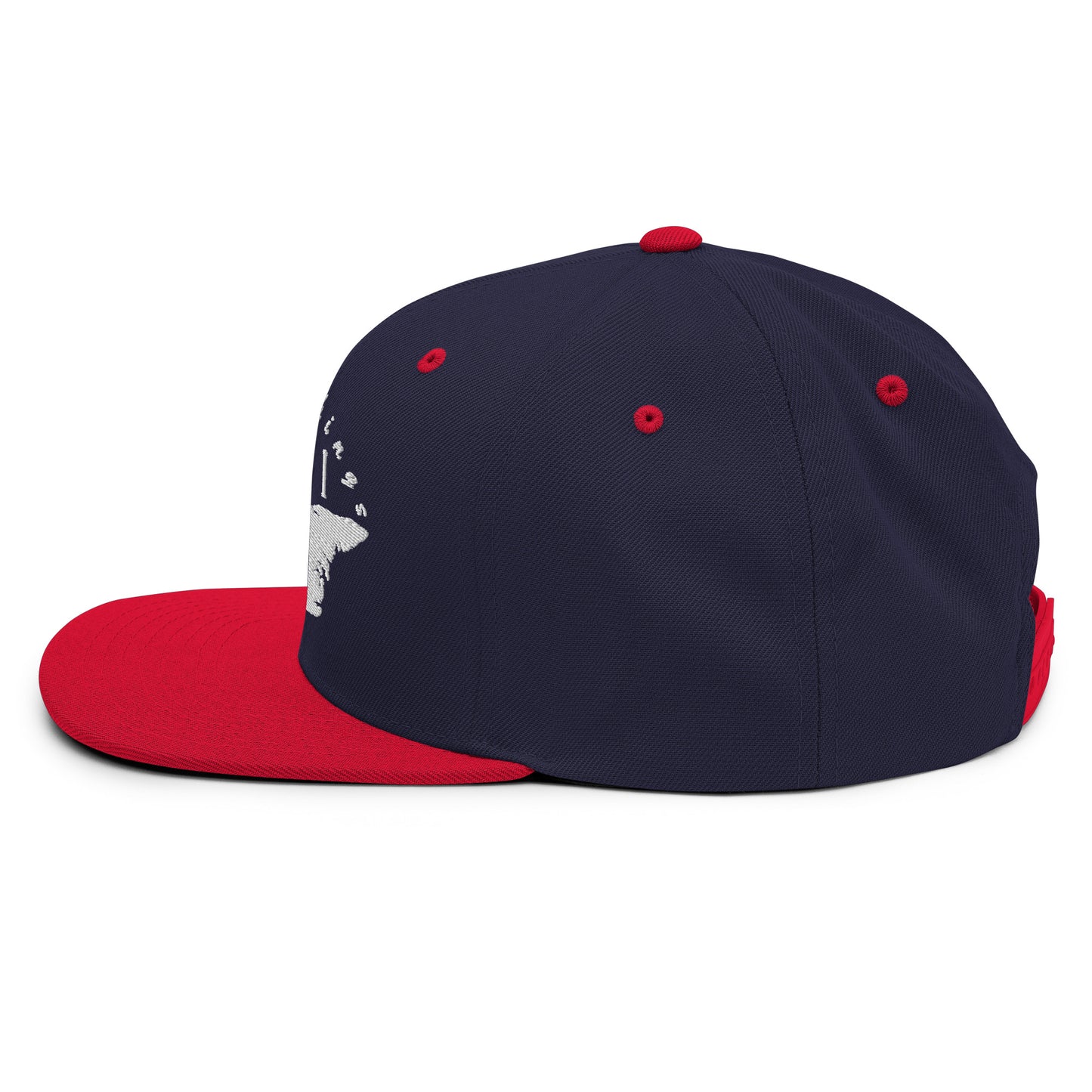 ATPEI Snapback Hat (Embroidered)
