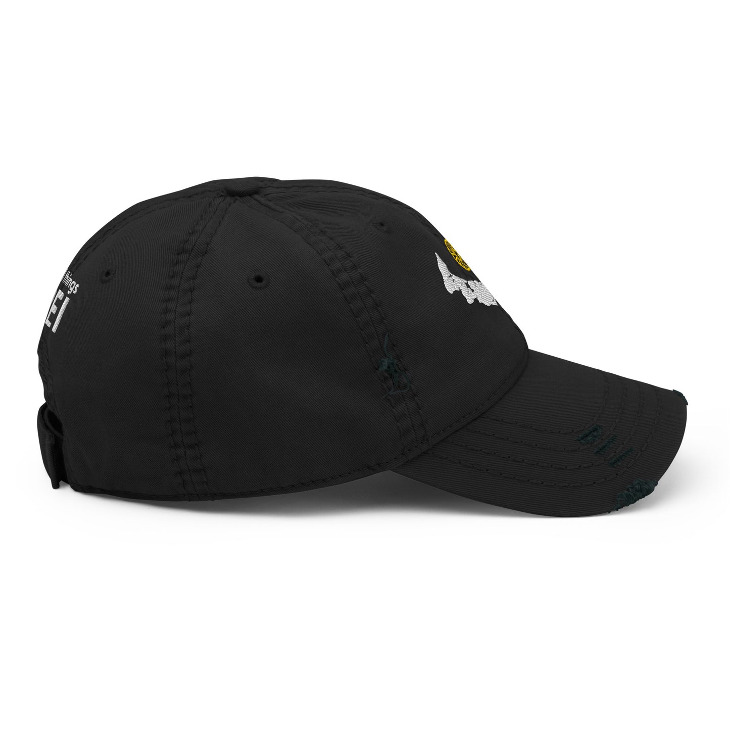 ATPEI WILDFLOWER COLLECTION Distressed Dad Hat (Embroidered)