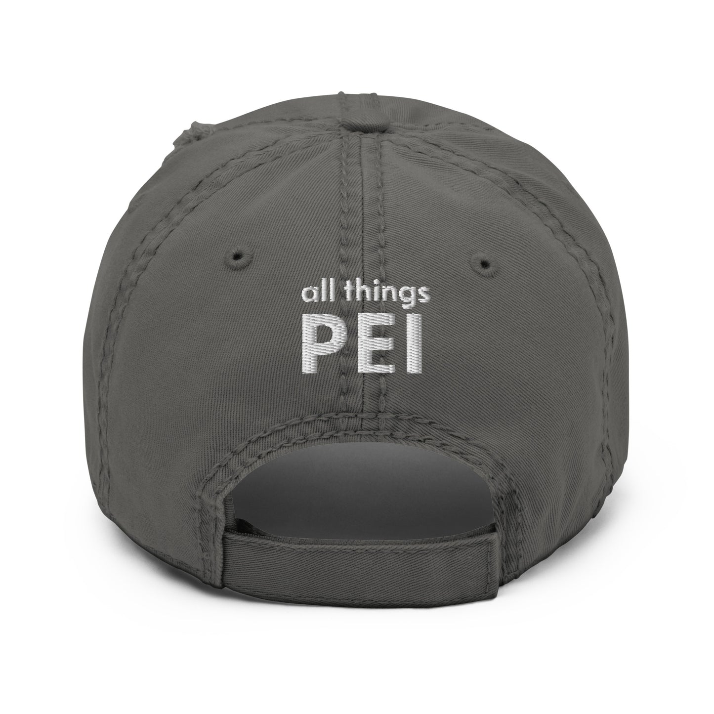 ATPEI WILDFLOWER COLLECTION Distressed Dad Hat (Embroidered)