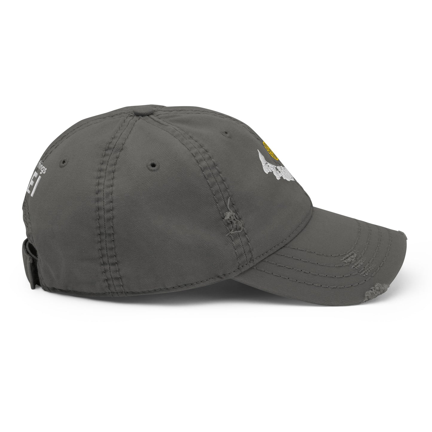 ATPEI WILDFLOWER COLLECTION Distressed Dad Hat (Embroidered)