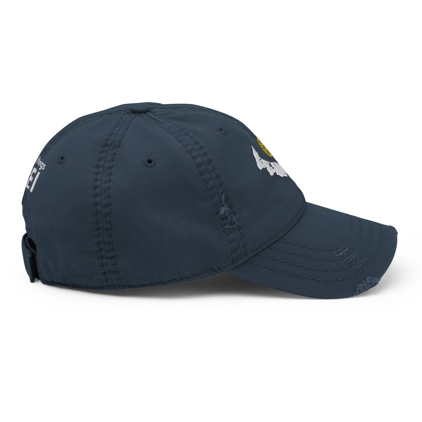 ATPEI WILDFLOWER COLLECTION Distressed Dad Hat (Embroidered)