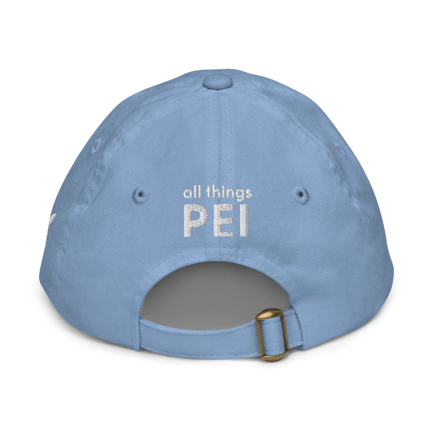 ATPEI ISLANDER COLLECTION Youth Baseball Cap (Embroidered)