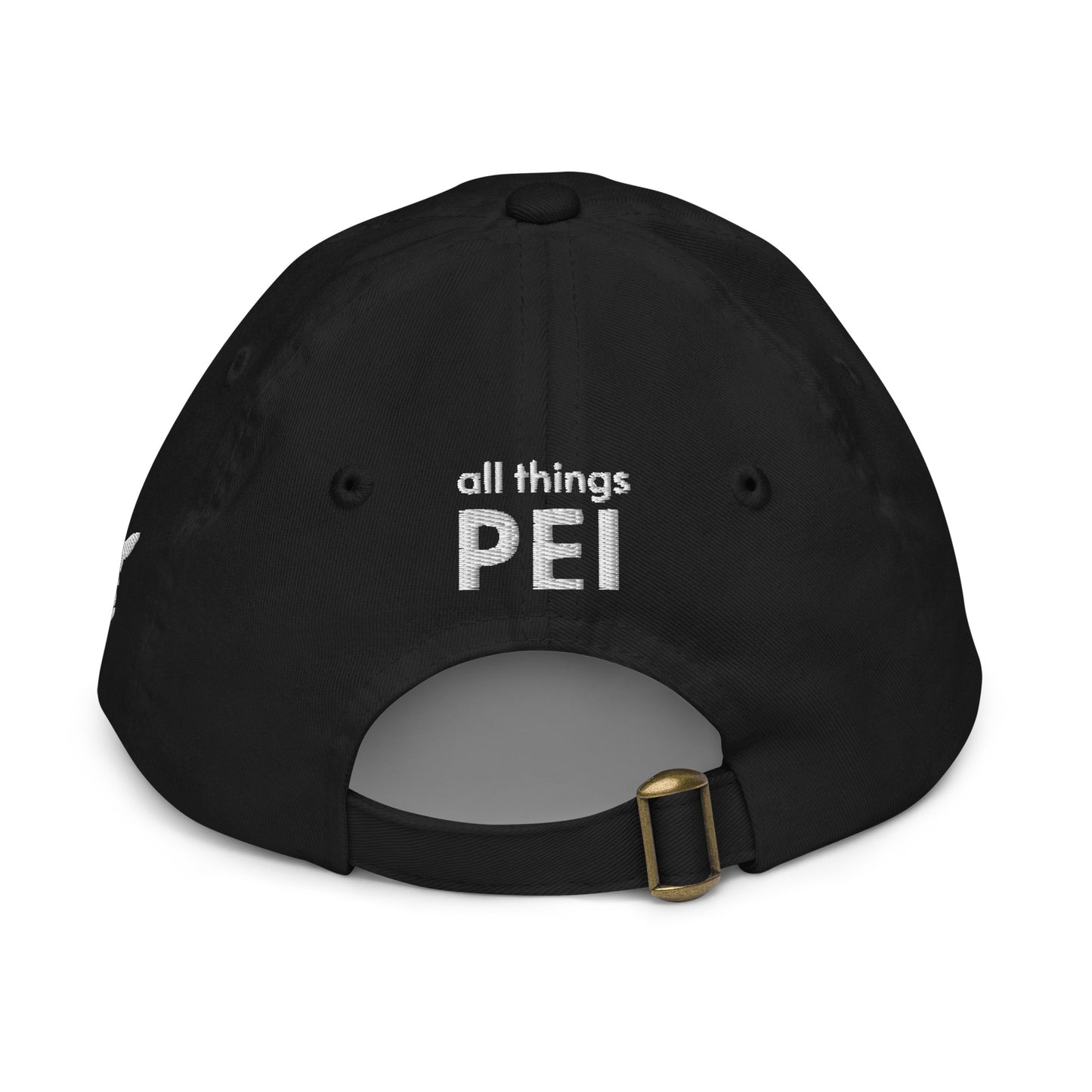 ATPEI ISLANDER COLLECTION Youth Baseball Cap (Embroidered)