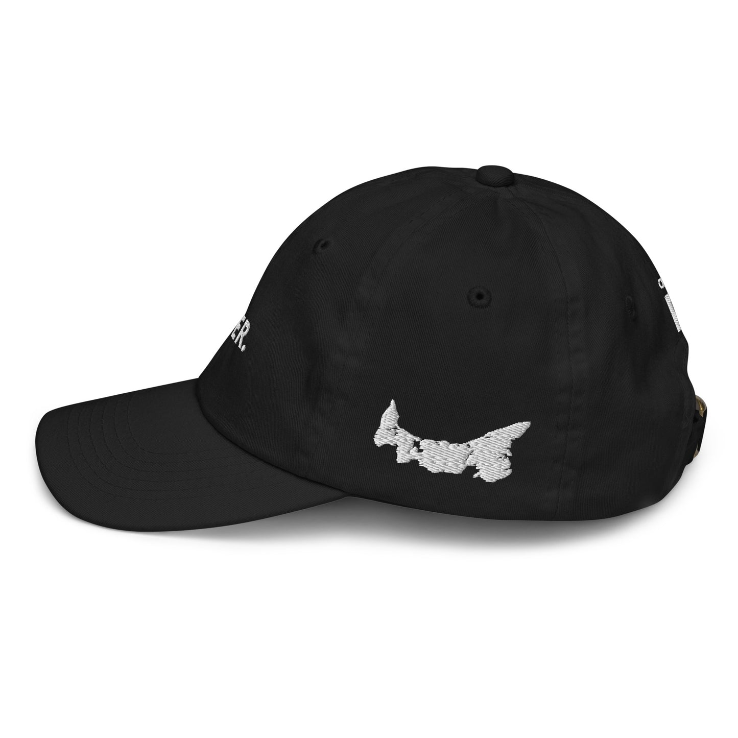 ATPEI ISLANDER COLLECTION Youth Baseball Cap (Embroidered)