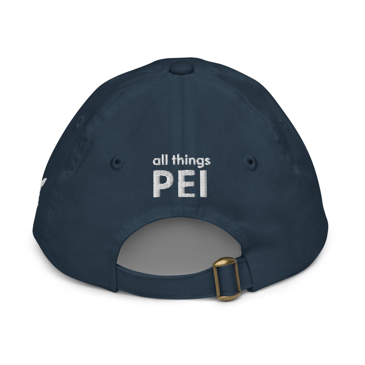 ATPEI ISLANDER COLLECTION Youth Baseball Cap (Embroidered)