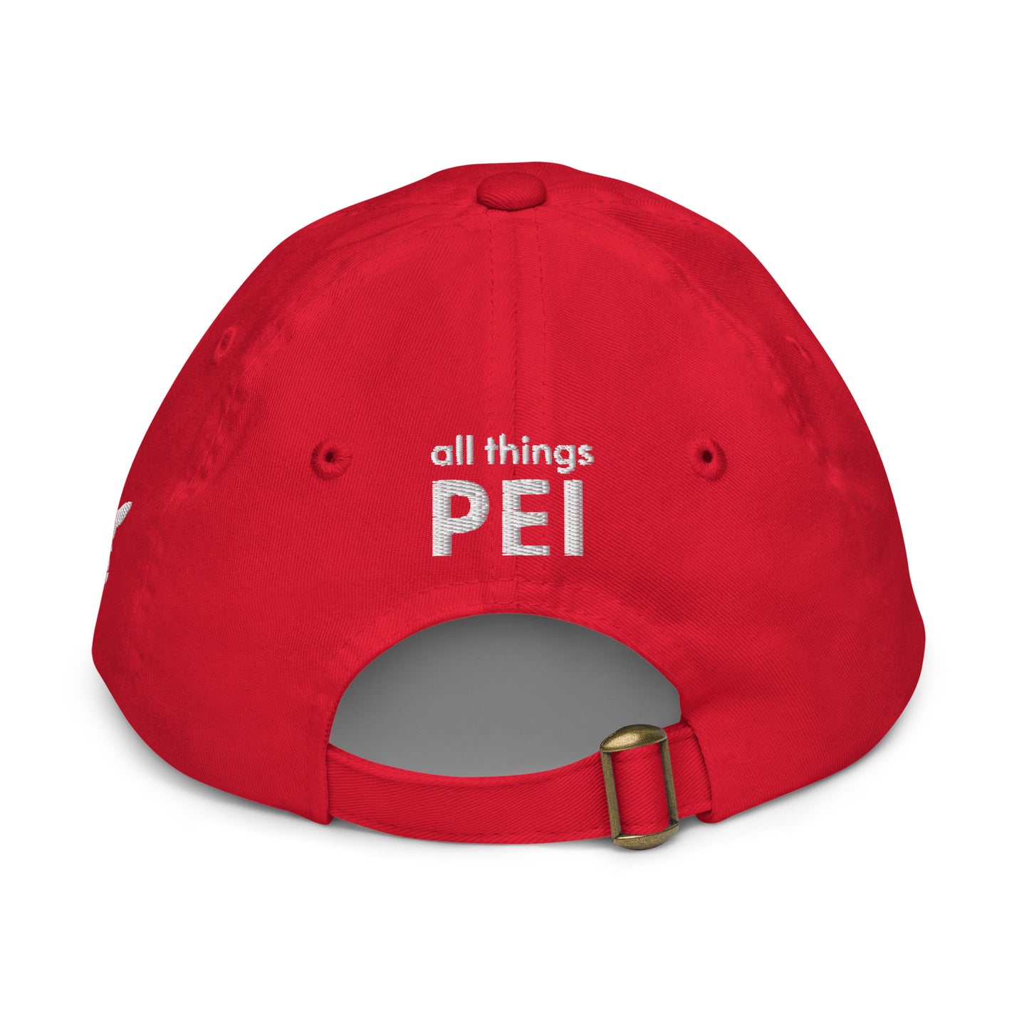 ATPEI ISLANDER COLLECTION Youth Baseball Cap (Embroidered)