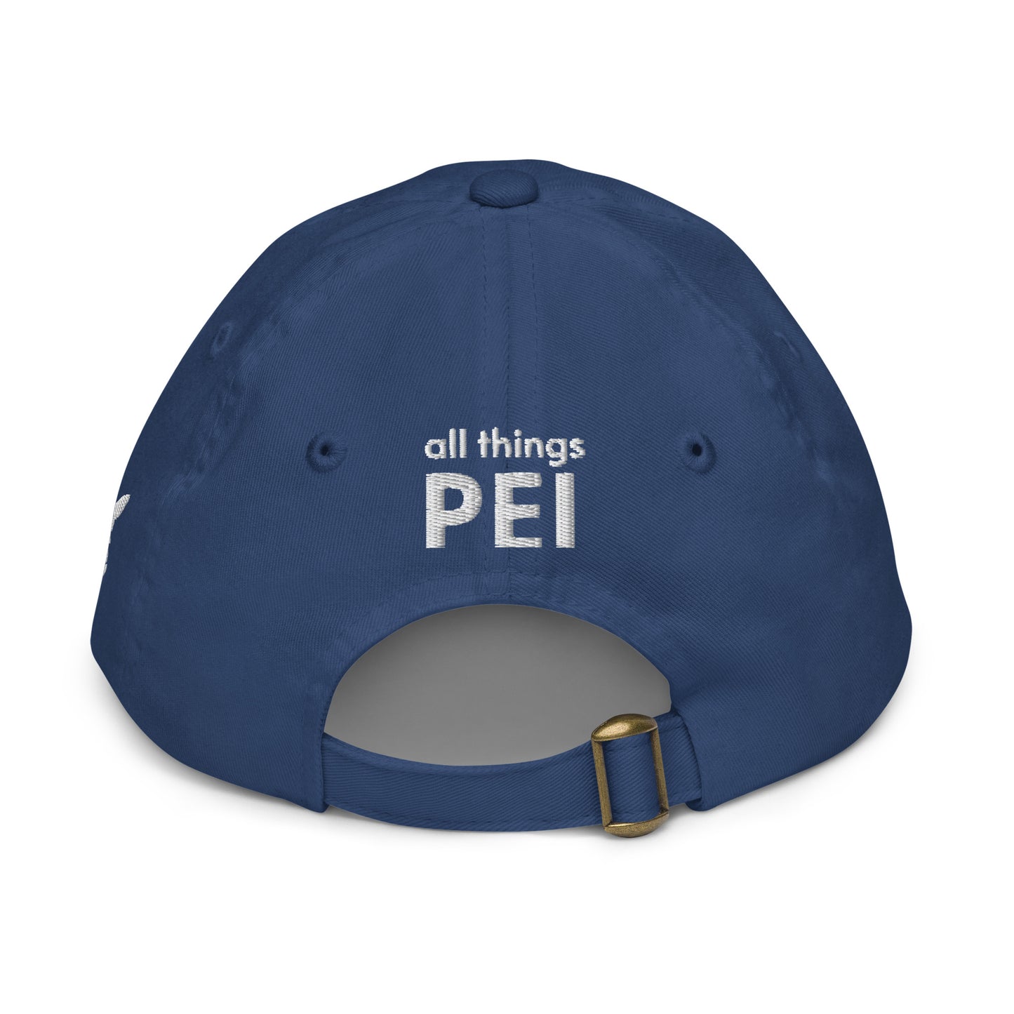 ATPEI ISLANDER COLLECTION Youth Baseball Cap (Embroidered)