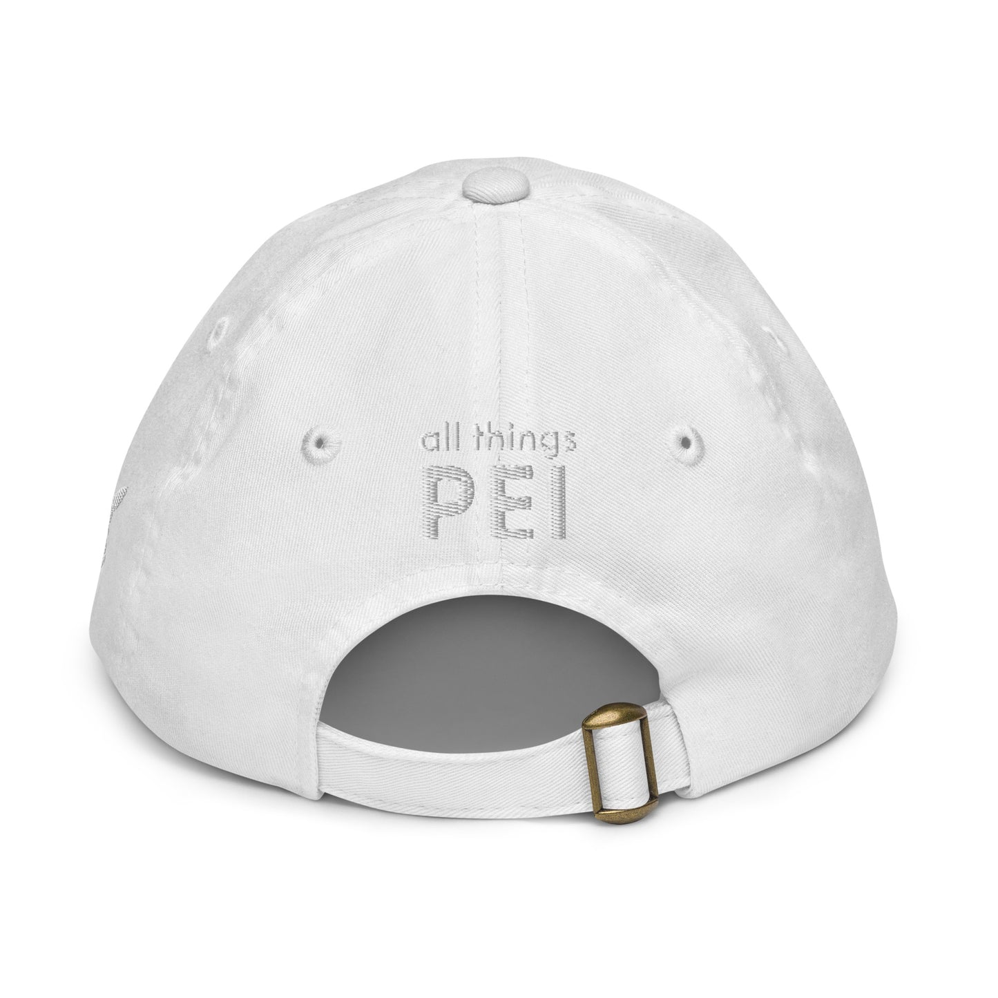 ATPEI ISLANDER COLLECTION Youth Baseball Cap (Embroidered)