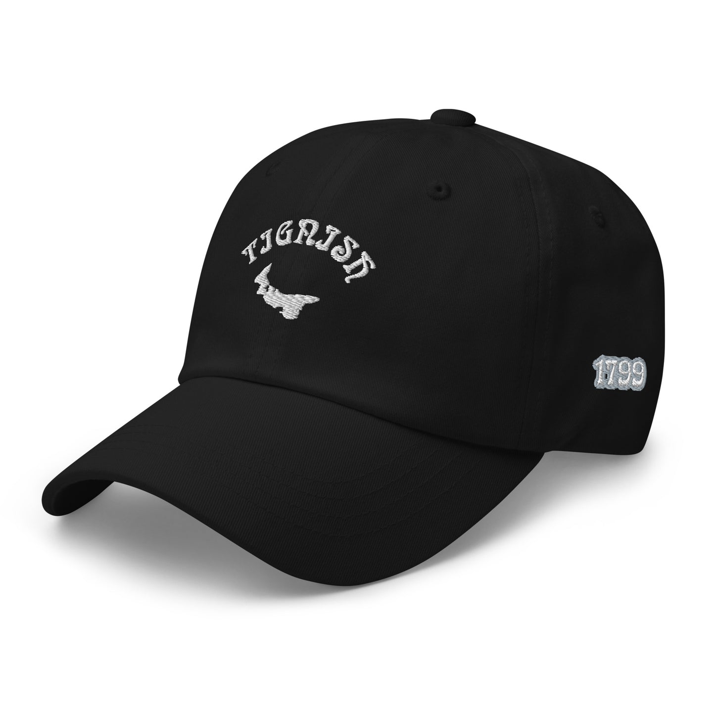 ATPEI COMMUNITY SERIES TIGNISH Dad Hat (Embroidered)