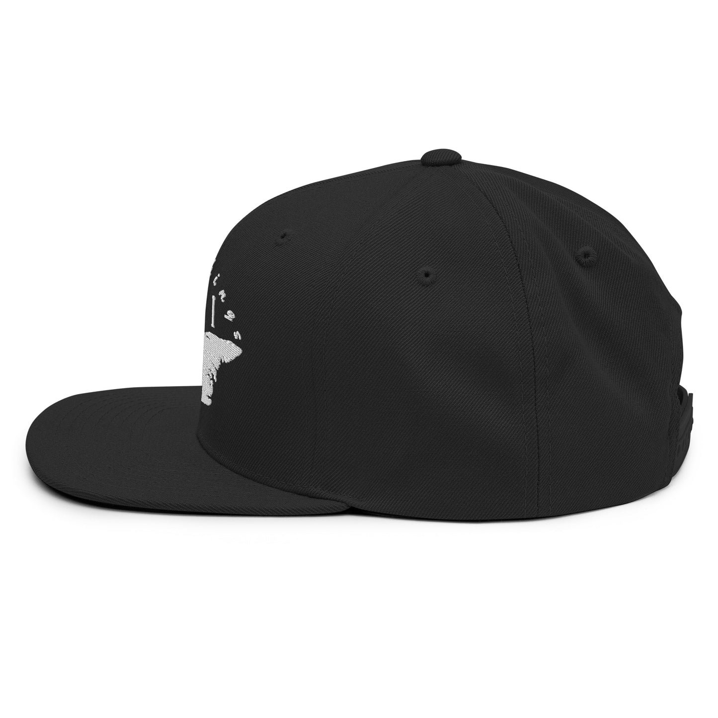 ATPEI Snapback Hat (Embroidered)