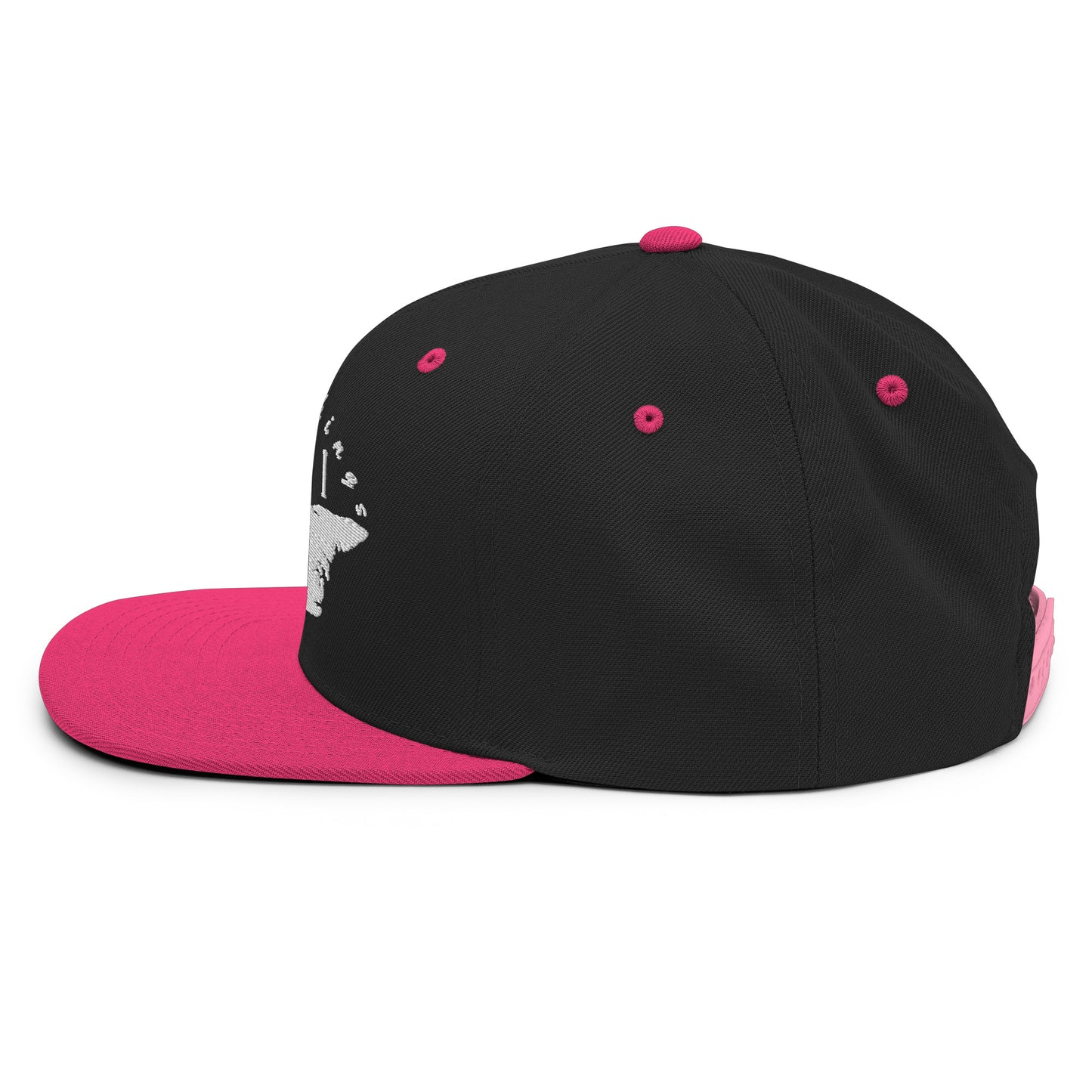 ATPEI Snapback Hat (Embroidered)