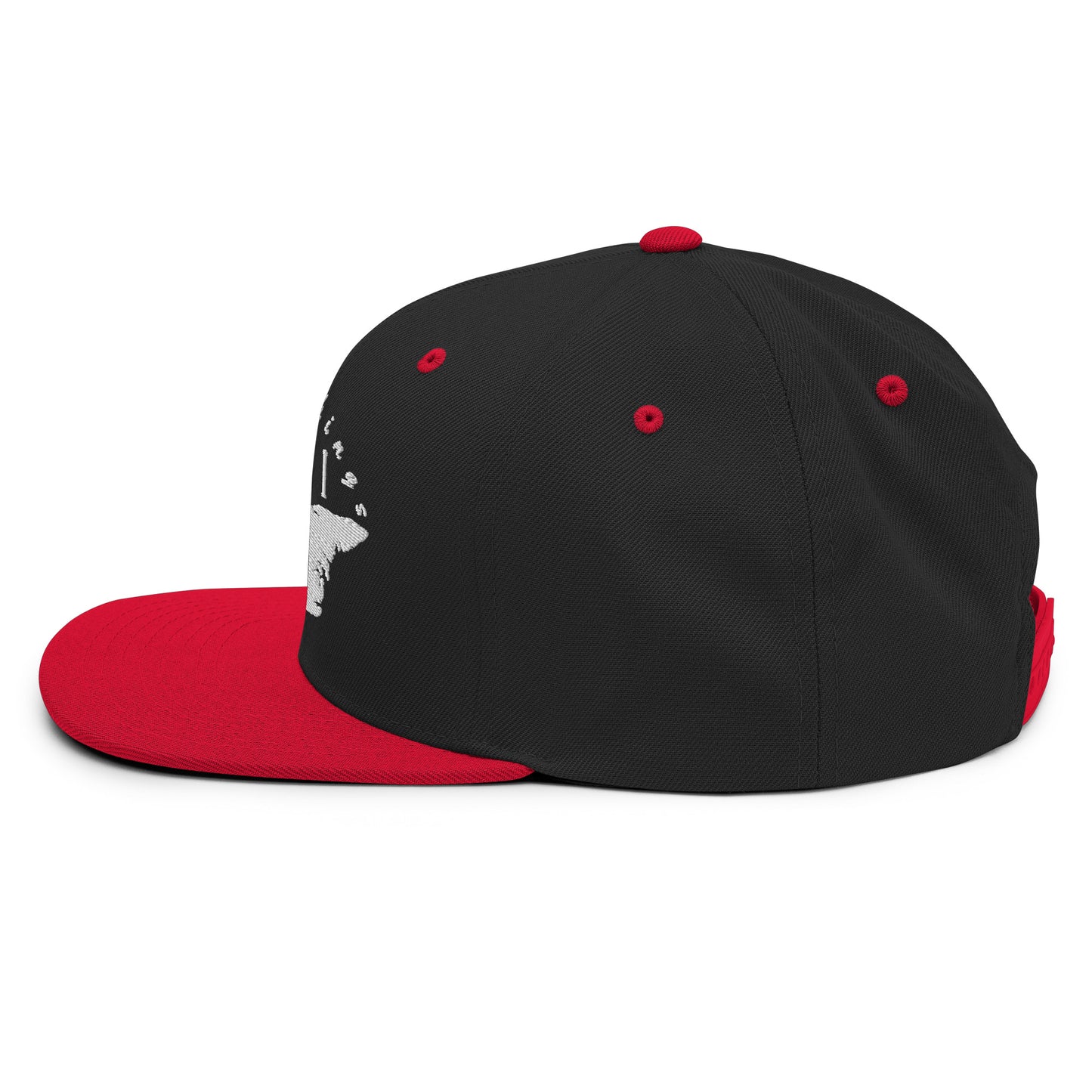 ATPEI Snapback Hat (Embroidered)