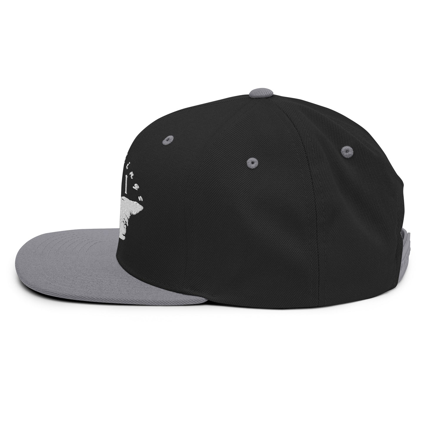 ATPEI Snapback Hat (Embroidered)