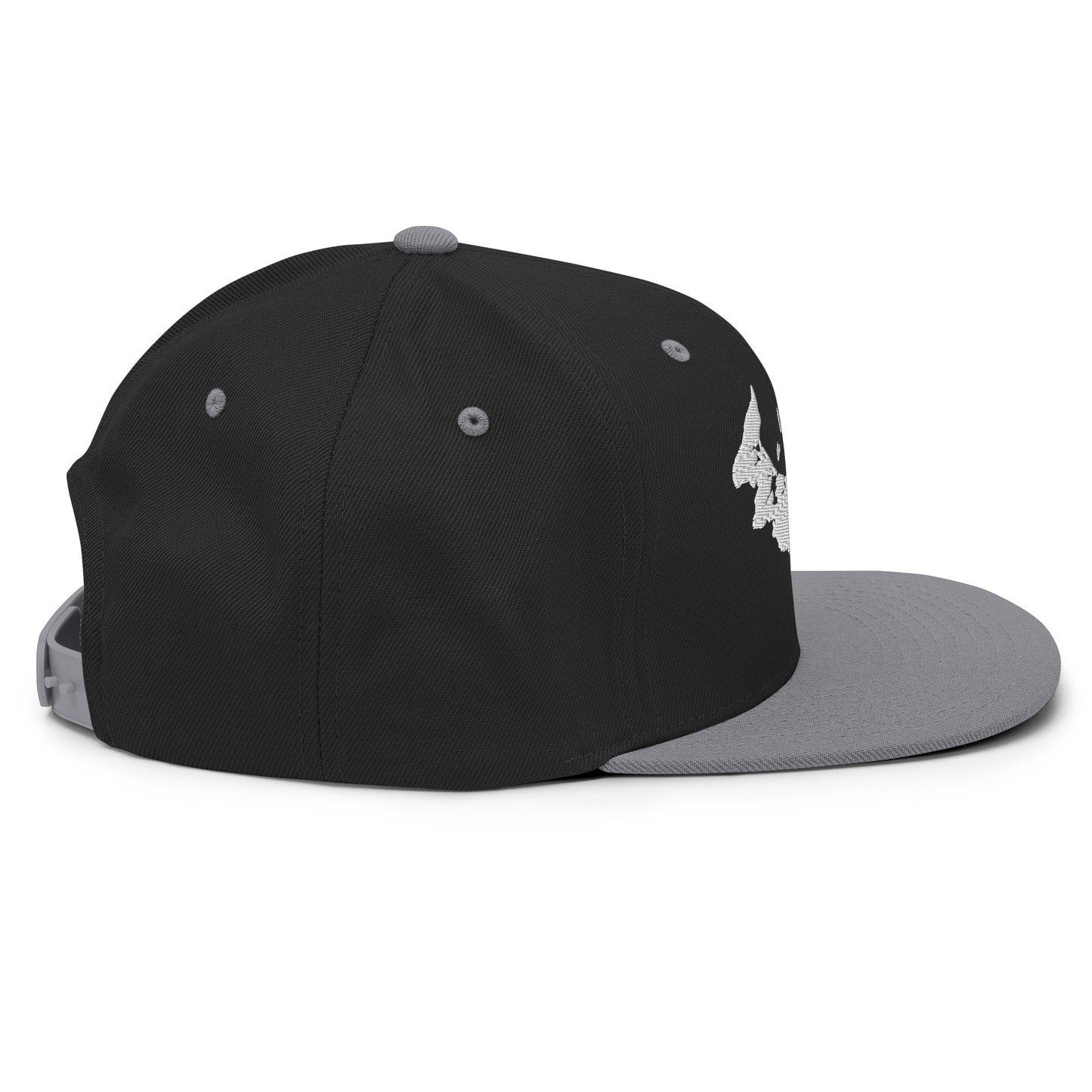 ATPEI Snapback Hat (Embroidered)