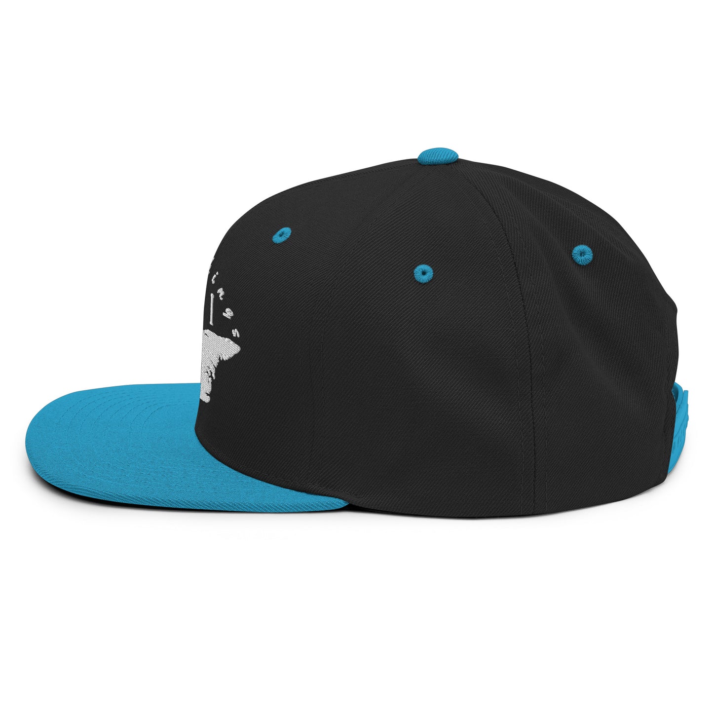 ATPEI Snapback Hat (Embroidered)