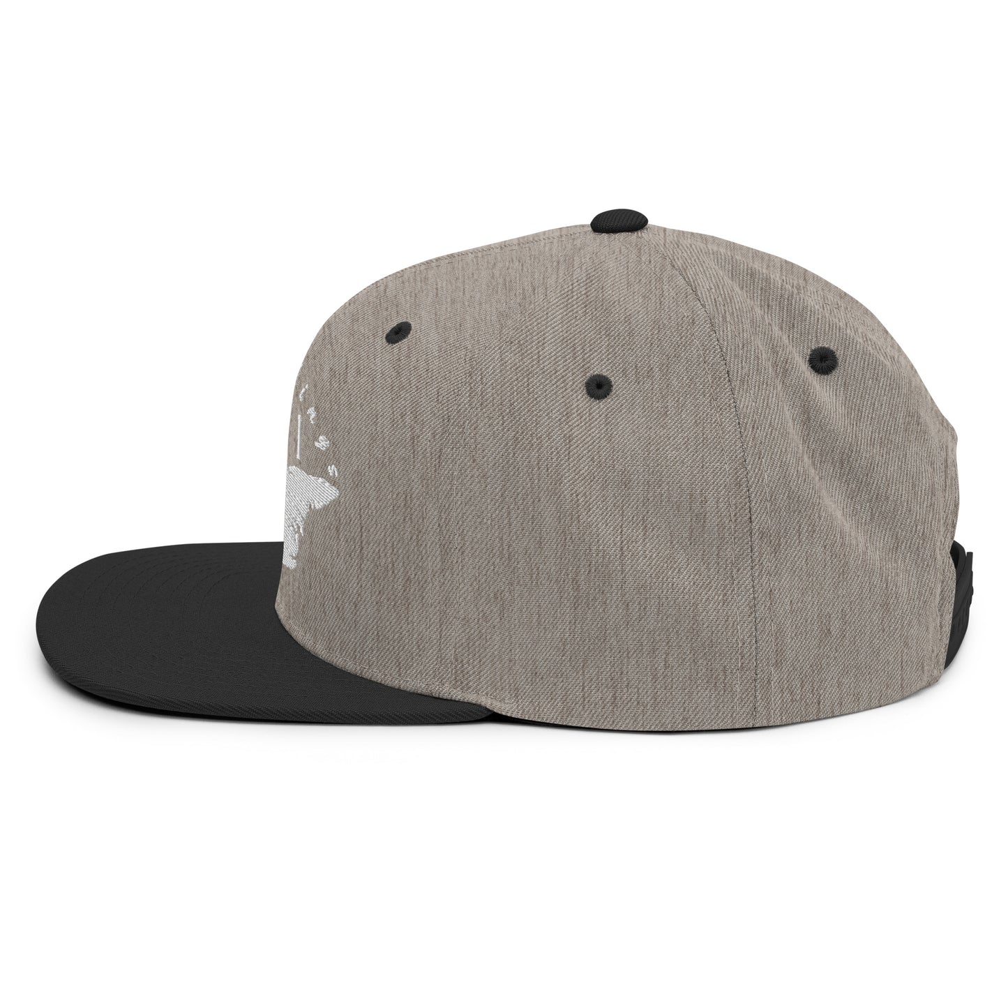 ATPEI Snapback Hat (Embroidered)