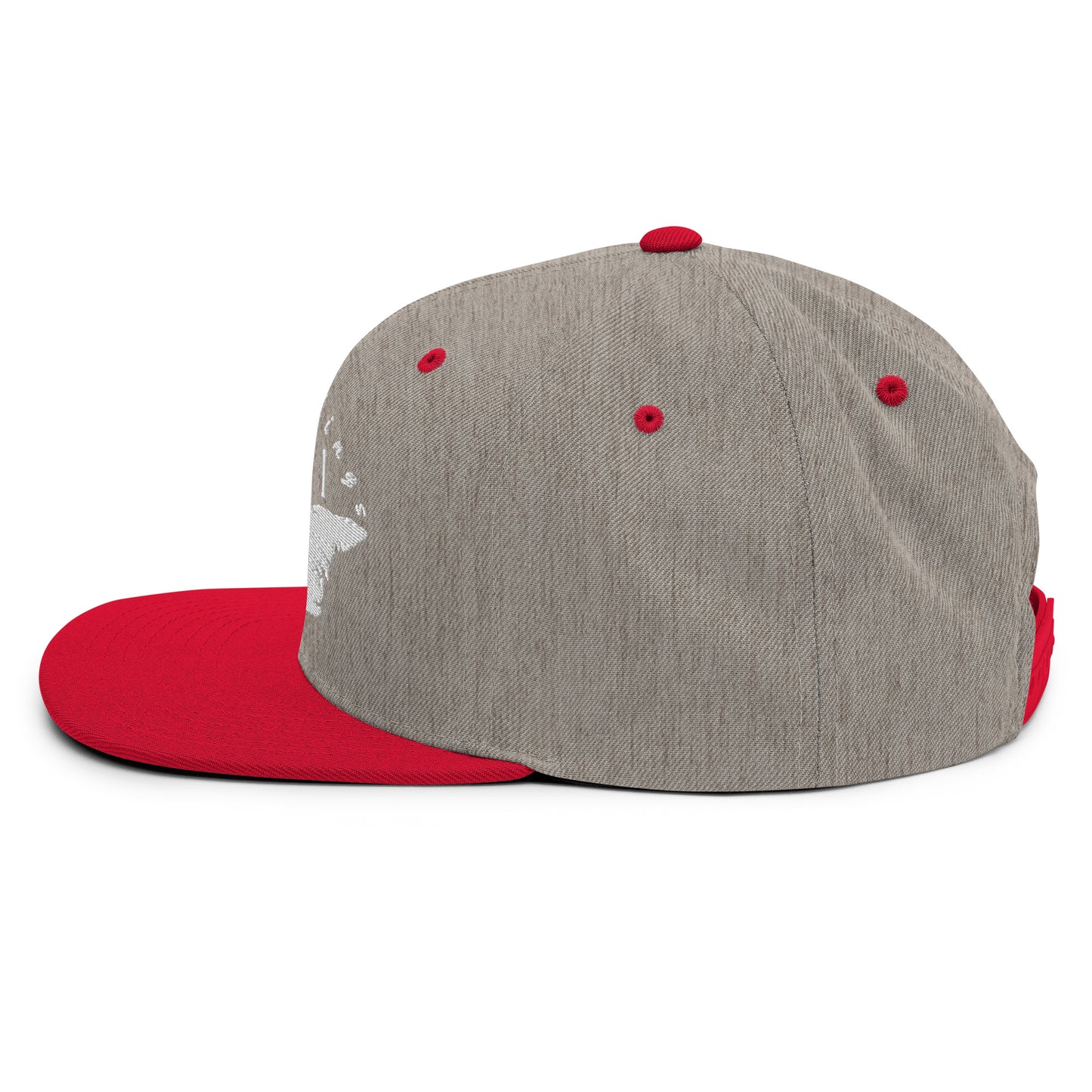 ATPEI Snapback Hat (Embroidered)