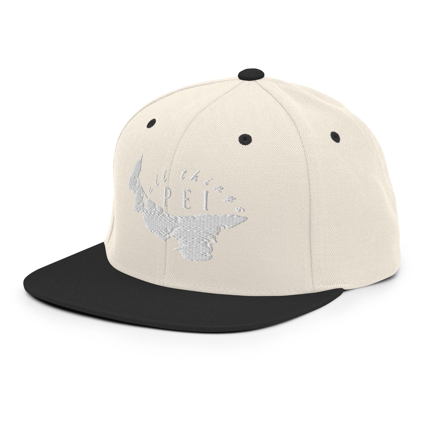 ATPEI Snapback Hat (Embroidered)