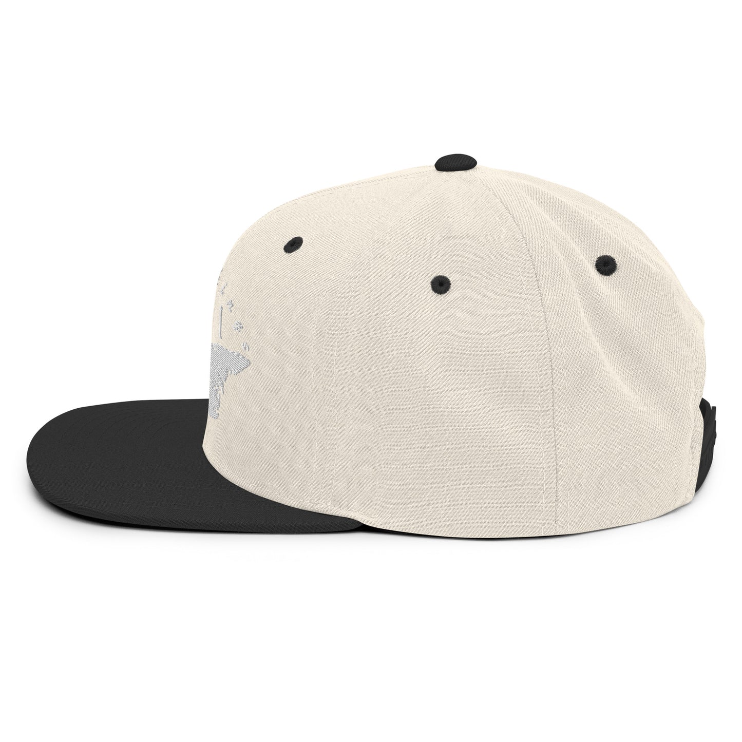 ATPEI Snapback Hat (Embroidered)
