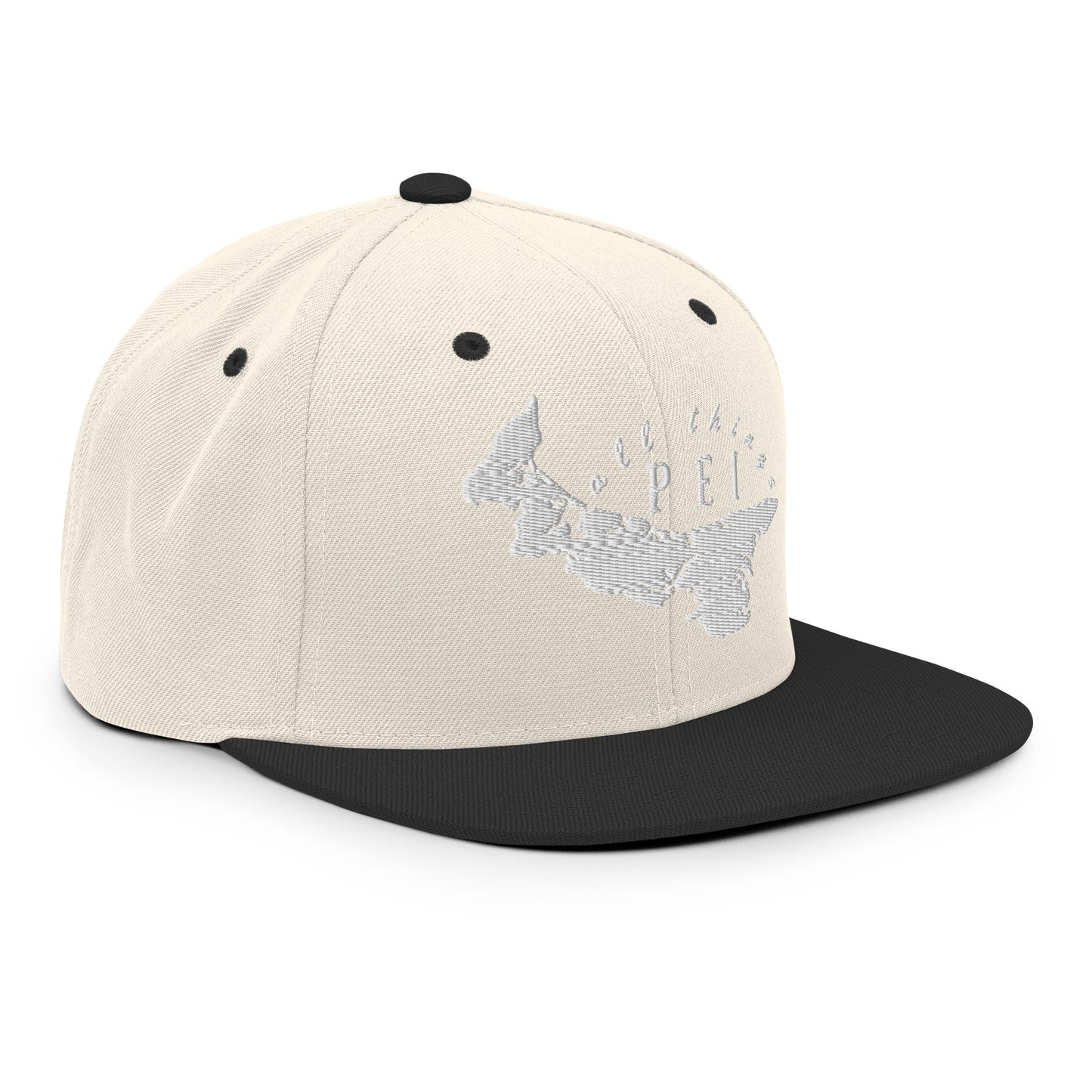 ATPEI Snapback Hat (Embroidered)