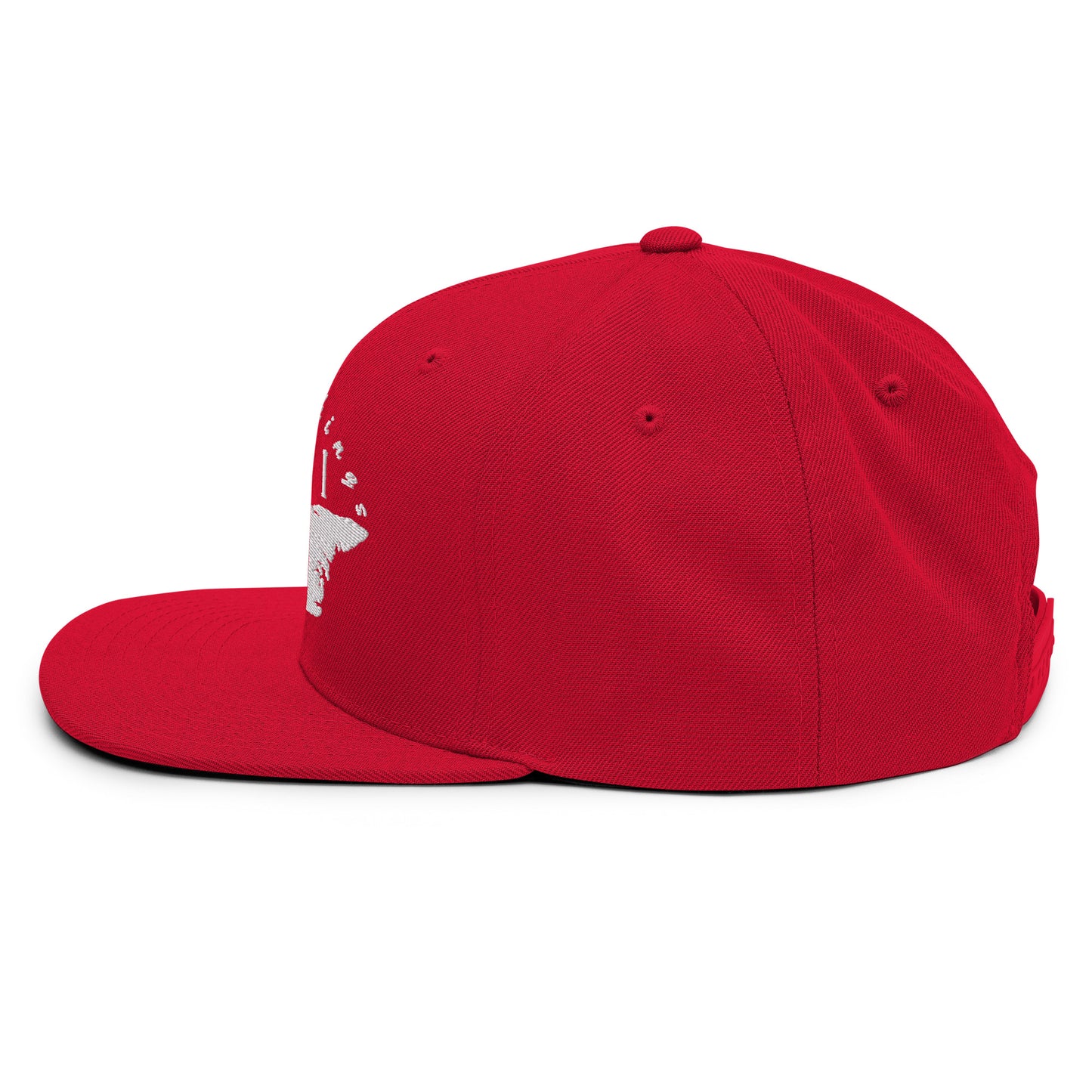ATPEI Snapback Hat (Embroidered)