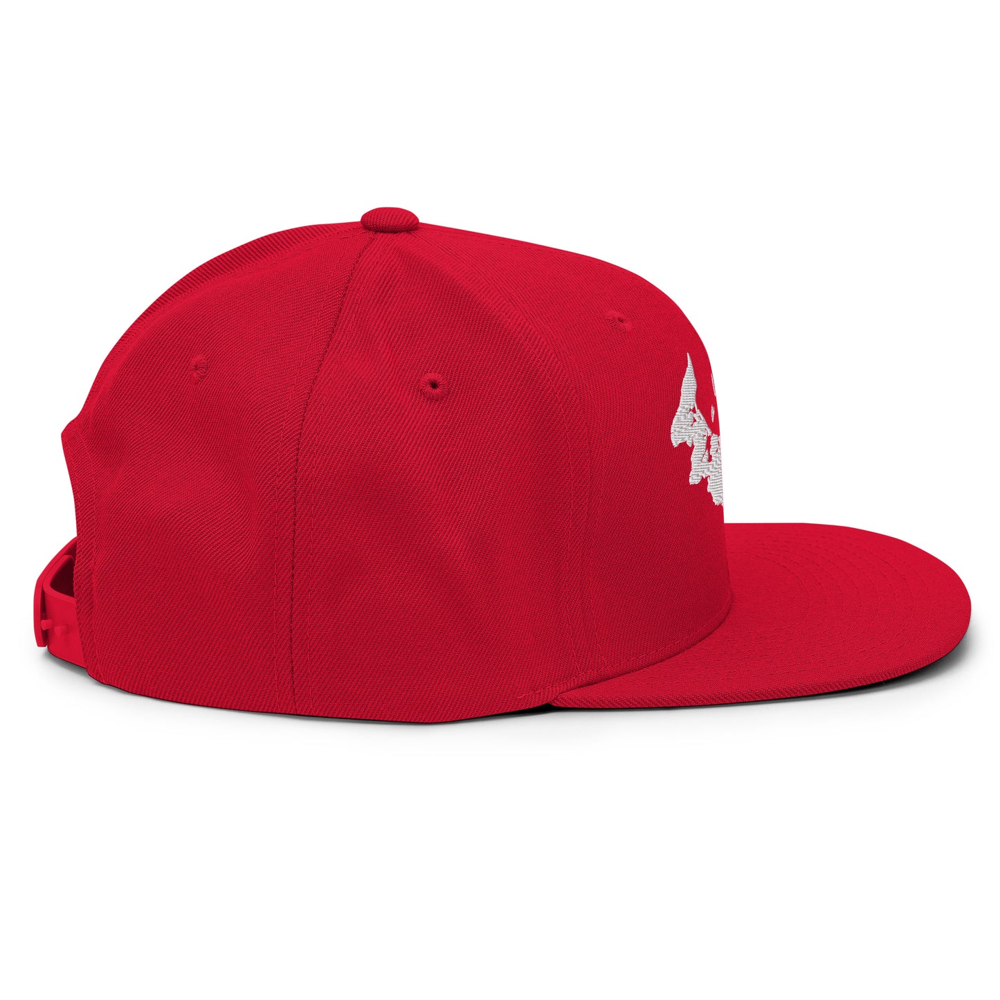 ATPEI Snapback Hat (Embroidered)