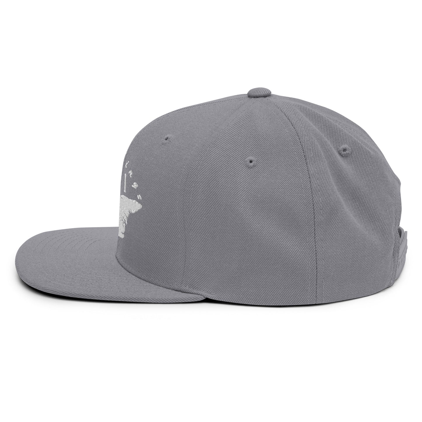 ATPEI Snapback Hat (Embroidered)