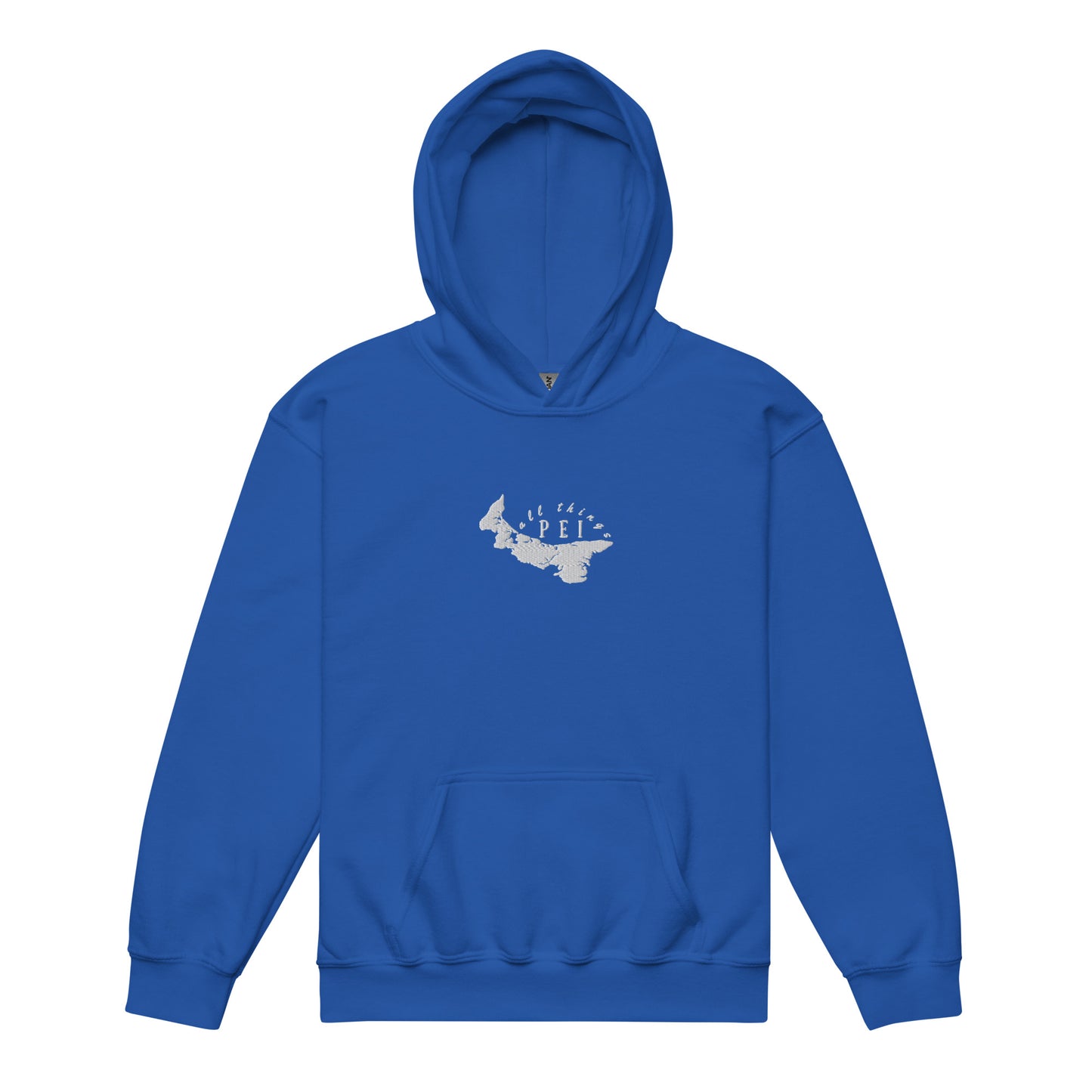 ATPEI Youth Heavy Blend Hoodie (Embroidered)