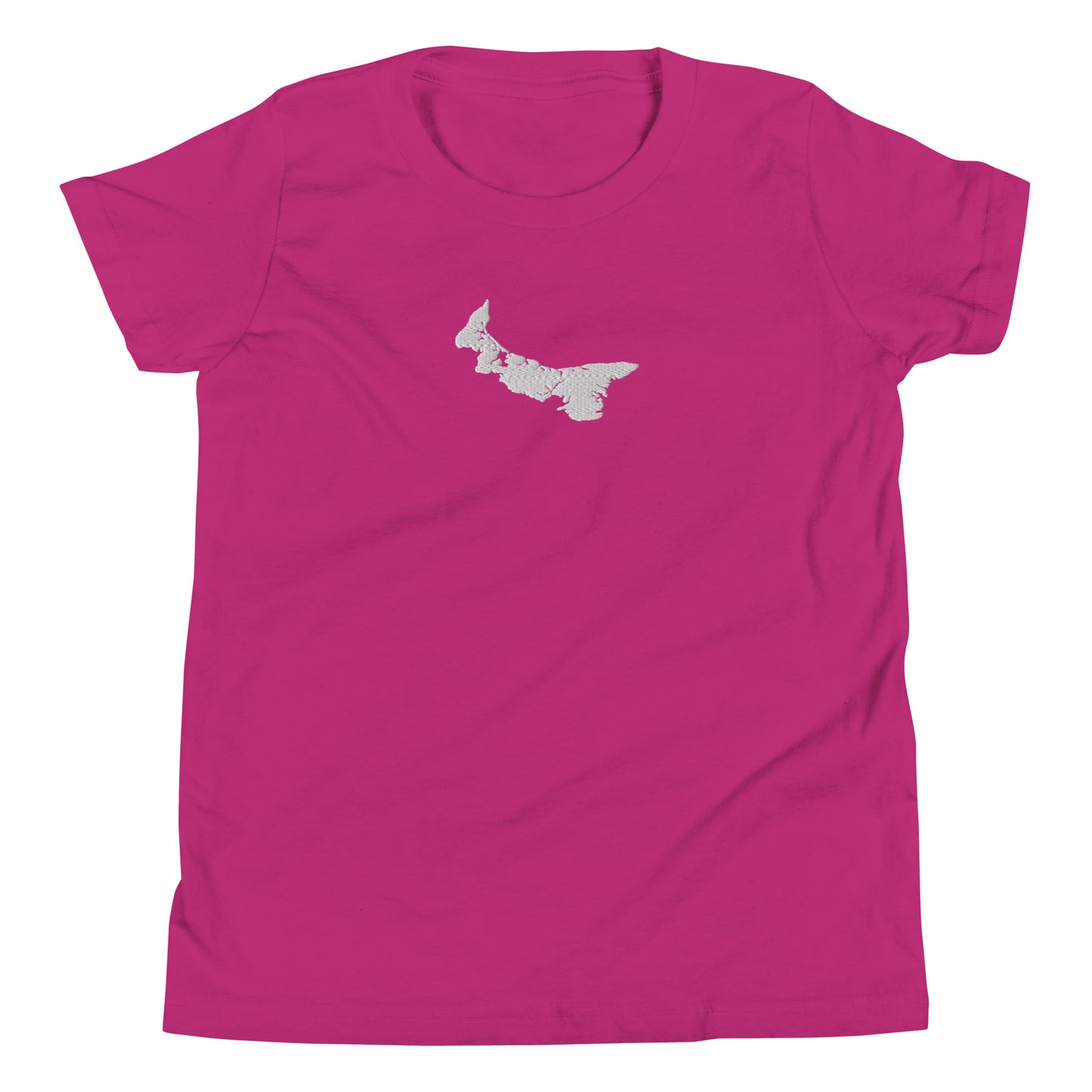 ATPEI ISLAND COLLECTION Unisex Youth Short Sleeve T-Shirt (Embroidered)